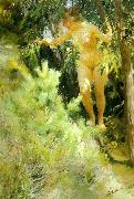 naken under en gran Anders Zorn